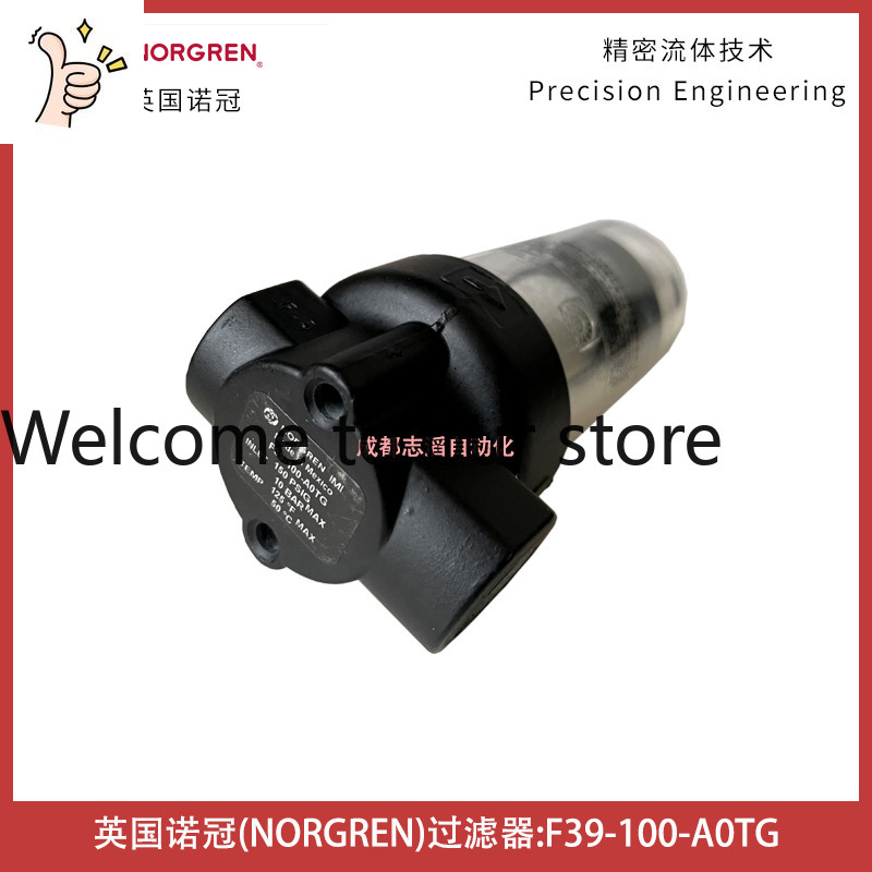 Woodworking Uk - Filtro NORGREN F39-100-A0TG 2026 del Reino